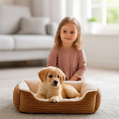 Coussin-chien-panier-rectangulaire-rembourrage 100% coton à mémoire de forme-velours-résistant, avec rebord surélevés, imperméable et antidérapant-lavable-un chiot couché dans son panier douillet et chaud à côté d'une petite fille souriante sur le sol du salon de la maison