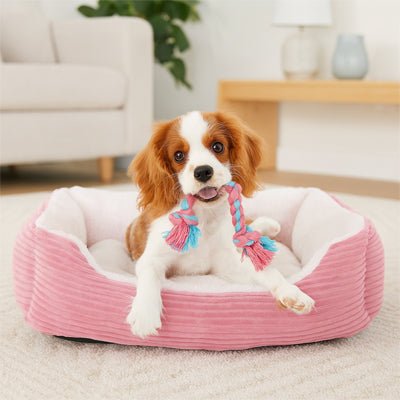 Coussin-chien-panier-rectangulaire-rose-rembourrage 100% coton à mémoire de forme-velours-résistant, avec rebord surélevés, imperméable et antidérapant-lavable-un petit chien qui tient son jouet dans sa mâchoire allongé confortablement dans son coussin avec rebord surélevé chaud et douillet sur le sol du salon de l'appartement