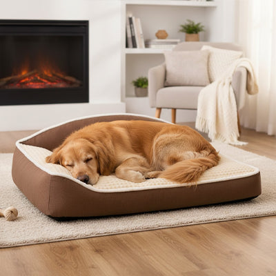 Coussin-chien-xxl-déhoussable-ergonomique-antidérapant, lavable en machine, rembourrage 100% coton haute densité avec rebords surélevés en L pour un soutien cervical et un effet entourant apaisant et sécurisant, tissu ultra-doux en flanelle hypoallergénique, résistant aux griffes et morsures, imperméable-un chien de grande taille qui dort paisiblement sur le lit épais, niché dans l'angle des deux rebords surélevés en L rembourré 100% coton haute densité  sur le sol du salon devant la cheminée
