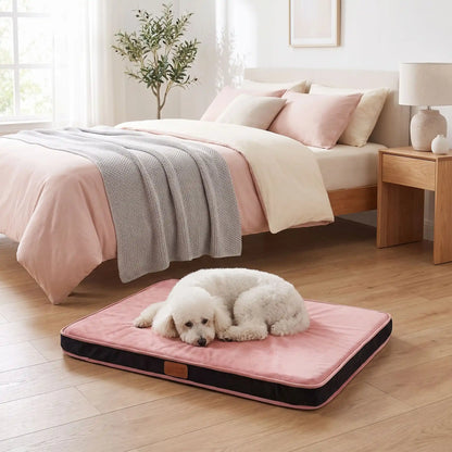Coussin-déhoussable-chien-chiot-orthopédique avec son matelas en éponge coton haute densité anti-affaissement, rectangulaire et épais, housse en velours et solide, tapis d'appoint pour panier, cage, niche, etc. fond antidérapant, déhoussable et lavable en machine, disponible en 3 tailles S, M et L pour chien jusqu'à 20 kilos max-un chien moyenne race couché confortablement sur le coussin rectangulaire au pied du lit de sa maitresse dans la chambre