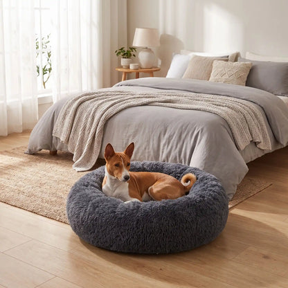 Coussin-déhoussable-pour-chien-chiot-antistress en peluche douce et hypoallergénique, lavable en machine, fond antidérapant et imperméable, en forme de beignet rond avec rebord surélevé 360°, rembourrage 100% coton haute densité, disponible en 5 tailles du S au XXL en 3 coloris rose, gris et gris foncé pour chien de 0 à 40 kg max-un chien de taille moyenne couché confortablement dans son coussin entourant et douillet de couleur gris foncé taille L au pied du lit de sa maitresse dans la chambre de la maison