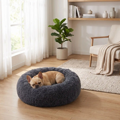 Coussin-déhoussable-pour-chien-chiot-antistress en peluche douce et hypoallergénique, lavable en machine, fond antidérapant et imperméable, en forme de beignet rond avec rebord surélevé 360°, rembourrage 100% coton haute densité, disponible en 5 tailles du S au XXL en 3 coloris rose, gris et gris foncé pour chien de 0 à 40 kg max-un chien moyen qui dort en boule niché dans son coussin entourant et douillet de couleur gris foncé taille M dans le salon design de l'appartement