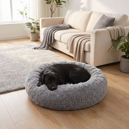 Coussin-déhoussable-pour-chien-chiot-antistress en peluche douce et hypoallergénique, lavable en machine, fond antidérapant et imperméable, en forme de beignet rond avec rebord surélevé 360°, rembourrage 100% coton haute densité, disponible en 5 tailles du S au XXL en 3 coloris rose, gris et gris foncé pour chien de 0 à 40 kg max-un grand chien couché confortablement dans son coussin entourant et douillet de couleur gris, sa tête reposant sur le rebord rembourré dans le salon de l'appartement