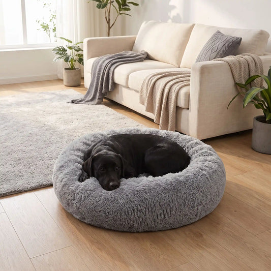 Coussin-déhoussable-pour-chien-chiot-antistress en peluche douce et hypoallergénique, lavable en machine, fond antidérapant et imperméable, en forme de beignet rond avec rebord surélevé 360°, rembourrage 100% coton haute densité, disponible en 5 tailles du S au XXL en 3 coloris rose, gris et gris foncé pour chien de 0 à 40 kg max-un grand chien couché confortablement dans son coussin entourant et douillet de couleur gris, sa tête reposant sur le rebord rembourré dans le salon de l'appartement