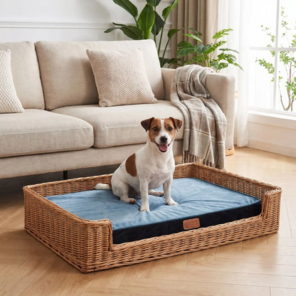 Coussin-déhoussable-chien-chiot-orthopédique avec son matelas en éponge coton haute densité anti-affaissement, rectangulaire et épais, housse en velours et solide, tapis d'appoint pour panier, cage, niche, etc. fond antidérapant, déhoussable et lavable en machine, disponible en 3 tailles S, M et L pour chien jusqu'à 20 kilos max-un petit chien assis confortablement sur le coussin rectangulaire installé dans son panier en osier dans le salon de l'appartement