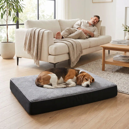 Coussin déhoussable pour chien - OrthopédiqueToutou