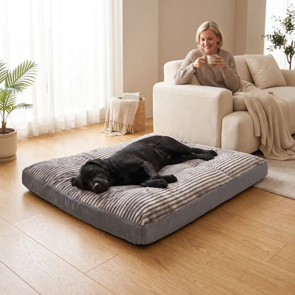 Coussin-déhoussable-pour-chien-chiot-matelas rectangulaire épais, rembourrage 100% coton haute densité ergonomique, totalement déhoussable et lavable en machine, housse en velours côtelé doux et résistant au griffes et morsures, fond imperlméable et antidérapant,transportable et léger en 3 tailles L, XL et XXL pour chien de toute tailles jusqu'à 45 kg max-un chien de taille moyenne qui dort couché confortablement sur son lit épais xxl design gris clair et foncé au pied de sa maitresse assise dans le canapé 