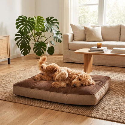Coussin-déhoussable-pour-chien-chiot-matelas rectangulaire épais, rembourrage 100% coton haute densité ergonomique, totalement déhoussable et lavable en machine, housse en velours côtelé doux et résistant au griffes et morsures, fond imperlméable et antidérapant,transportable et léger en 3 tailles L, XL et XXL pour chien de toute tailles jusqu'à 45 kg max-un chien de petite taille couché confortablement sur son lit taille L épais design marron rectangulaire sur le sol du salon de l'appartement