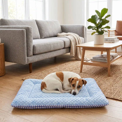 Coussin-pour-chien-chiot-rectangulaire-couchage d'appoint pour panier, niche, cage , voiture, canapé, etc-  rembourrage 100% coton haute densité ergonomique, réversible face été 100% coton respirant avec carreaux vichy et face hiver en velours, lavable en machine, disponible en 3 tailles pour chiot et chien de petite à moyenne taille de 0 à 15 kg-un petit chien couché confortablement sur son coussin côté hiver en velours bleu sur le sol en parquet du salon de la maison 
