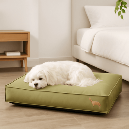 Coussin-pour-chien-imperméable-lavable-un chien de petite taille couché sur son matelas déhoussable en simili cuir vert et matelas intérieur rembourré 100% coton haute densité lavable et antidérapant résistant aux griffes dans la chambre de la maison
