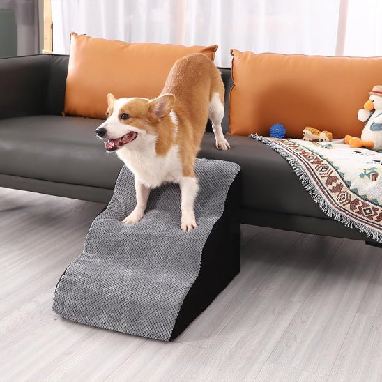 Escalier-mousse-pour_chien-chiot-antidérapant, déhoussable lavable en machine avec mousse haute résilience à mémoire de forme pour protèger les articulations sensibles, sécurisé , confortable, résistant aux griffes pour petit et chien de moyenne taille-un chien de race moyenne qui descend confortablement sur l'escalier de 3 marches en mousse gris et noir pour aller sur le canapé du salon en toute sécurité