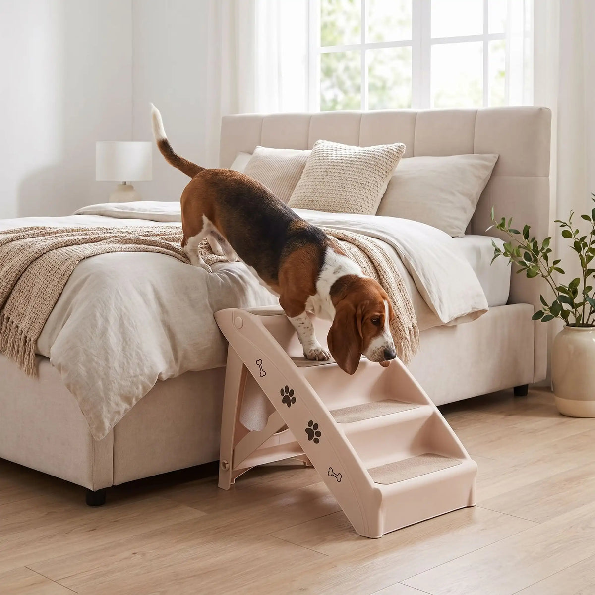 Escalier-pour-chien-pliable-chiot-avec-design-pattes-os-de-chien de 4 marches en Polypropylène (PP) robuste,se plie avec un bouton de sécurité, conception stable en triangle avec pieds antidérapant marches larges avec tissu antidérapant et garde-corps de sécurité pour chien et chien de petite à moyenne race, couleur blanc crème-un chien de race moyenne qui descend du lit de son maitre en toute sécurité sur l'escalier avec structure stable triangulaire avec 4 pieds antidérapants dans le salon de la maison
