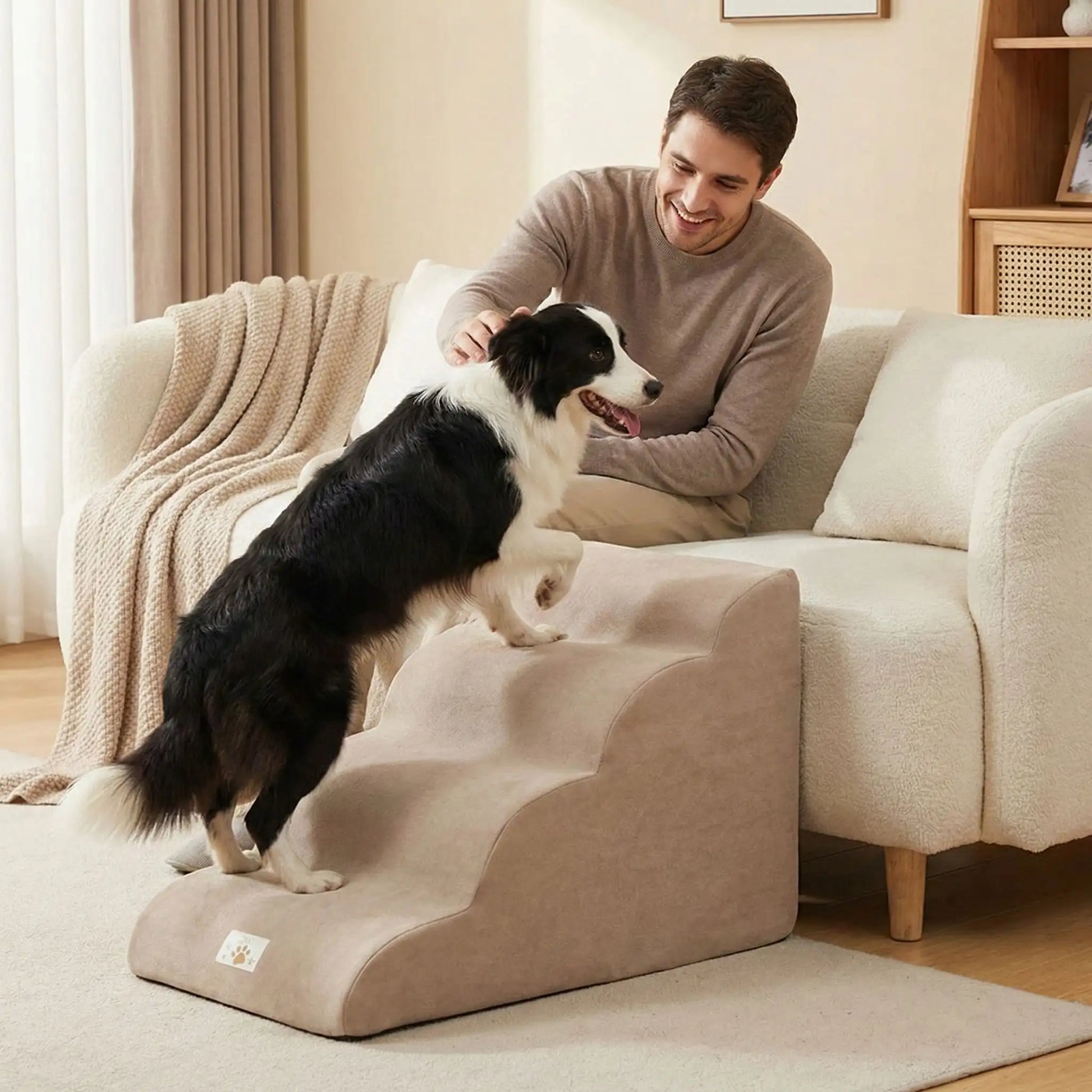 Escalier pour chien et chiot antidérapant, déhoussable lavable en machine avec mousse haute résilience à mémoire de forme pour protèger les articulations sensibles, sécurisé , confortable, résistant aux griffes pour petit et chien de moyenne taille-design velours sur le dessus ultra-doux et tissu en coton solide-un Border collie atteint de dysplaxie et souffrant aux articulation, tout heureux de monter sur l'escalier de 4 marches pour rejoindre sans effort son maitre souriant qui le caresse tendrement