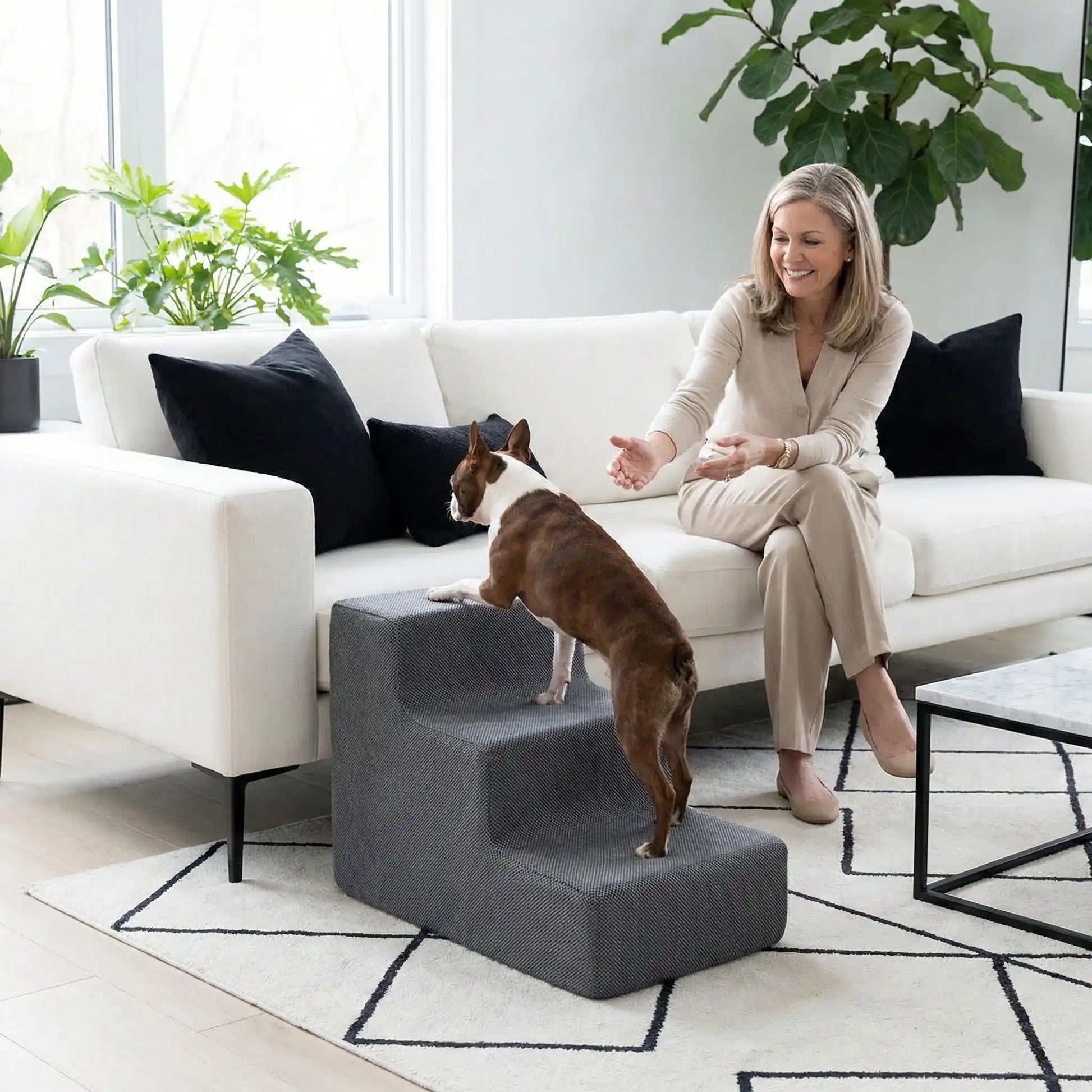 Escaliers pour chien et chiot antidérapant, déhoussable lavable en machine avec mousse haute résilience à mémoire de forme pour protèger les articulations sensibles, sécurisé , confortable, résistant aux griffes pour petit et chien de moyenne taille-design velours sur le dessus ultra-doux et tissu en coton solide-un chien de taille moyenne qui monte sur l'escalier de 3 marches hautes en mousse de couleur gris pour rejoindre en toute sécurité sa maitresse assise sur le canapé du salon de la maison
