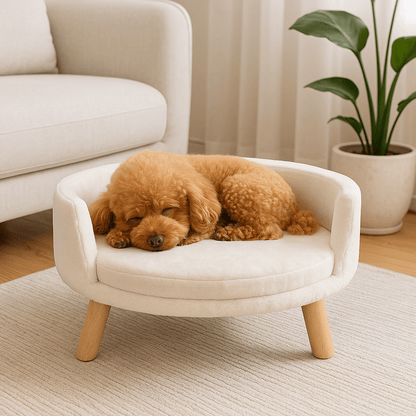 Fauteuil-pour-chien-imperméable-anti-stress-structure en bois naturel-coussin intérieur amovible, déhoussable et lavable en machine-surface douillette en peluche hypoallergénique rembourré 100% coton haute densité-sur pied en bois robuste et antidérapant-dossier arrondi et entourant-sécurisant et ergonomique-un chien de race Toy qui dort en boule paisiblement sur son mini canapé au design scandinave de couleur crème-surélevé dans le salon moderne de la maison