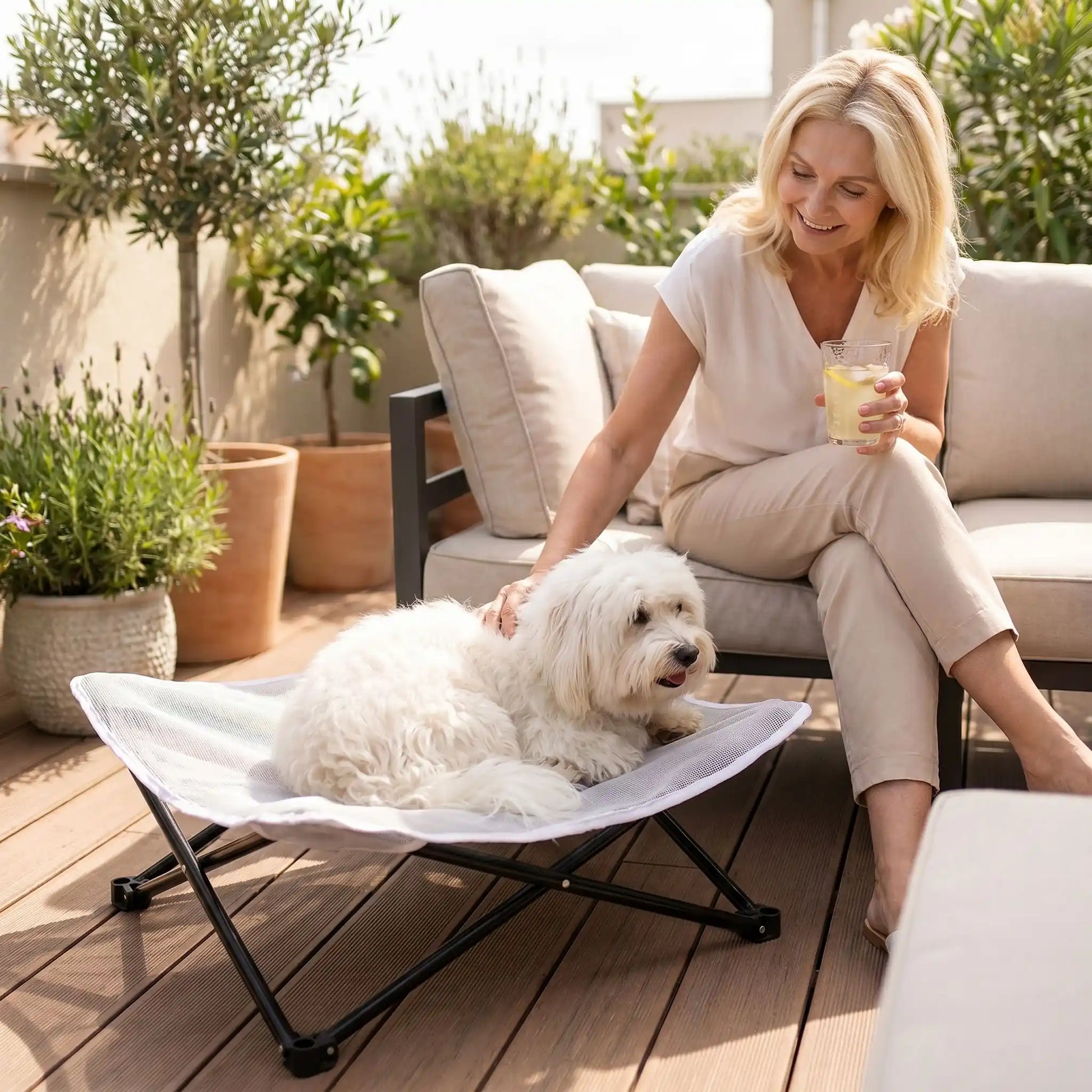 Fauteuil-pour-petit-chien-camping-chaise pour chien beige ou noir, lit de camp carré avec tissu déhoussable imperméable et lavable, en maille respirante pour un lit rafraichissant en été structure en acier inoxydable solide et pliant pour une utilisation partout en intérieur et extérieur pour chiot et chien de petite race de 0 à 5 kilos-un chien de petite taille à poils épais et longs confortablement couché sur son lit de camp caresser tendrement par sa maitresse assise sur le canapé de la terrasse en été