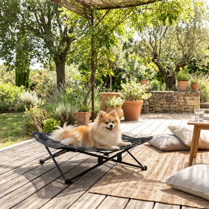 Fauteuil-pour-petit-chien-camping-chaise pour chien beige ou noir, lit de camp carré avec tissu déhoussable imperméable et lavable, en maille respirante pour un lit rafraichissant en été structure en acier inoxydable solide et pliant pour une utilisation partout en intérieur et extérieur pour chiot et chien de petite race de 0 à 5 kilos-un chien de race miniature à poils épais et long couché  au frais sur son lit surélevé sur la terrasse ombragée de la maison en été 