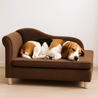 Fauteuils-pour-chiens-avec-pied-en bois massif et velours doux de couleur marron-dossier en L avec accoudoir design et coffre de rangement-un chien de taille moyenne qui dort paisiblement sur son sofa avec matelas en éponge haute densité lavable et déhoussable 