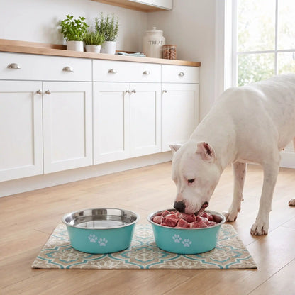 Gamelle-chien-chiot-lot-de-2-inox durable et robuste, design bleu ou gris avec pattes de chiens blanches , lavable en lave -vaisselle avec fond 360° en caoutchouc antidérapant et anti renversement, anti-rayures au sol, disponible en 4 tailles : 400/800 ml ou 1,5/2 litres pour chiot et chien de petite, moyenne et grande race- un molosse qui mange dans sa gamelle inox grise remplie de BARF à côté de l'autre gamelle bleue remplie d'eau fraiche sur le sol en parquet de la cuisine de la maison