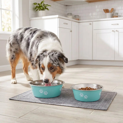 Gamelle-chien-chiot-lot-de-2-inox durable et robuste, design bleu ou gris avec pattes de chiens blanches , lavable en lave -vaisselle avec fond 360° en caoutchouc antidérapant et anti renversement, anti-rayures au sol, disponible en 4 tailles : 400/800 ml ou 1,5/2 litres pour chiot et chien de petite, moyenne et grande race- un chien de moyenne taille qui boit dans sa gamelle inox grise remplie d'eau fraiche à côté de l'autre gamelle grise  remplie de croquette sur le sol en carrelage de la cuisine 