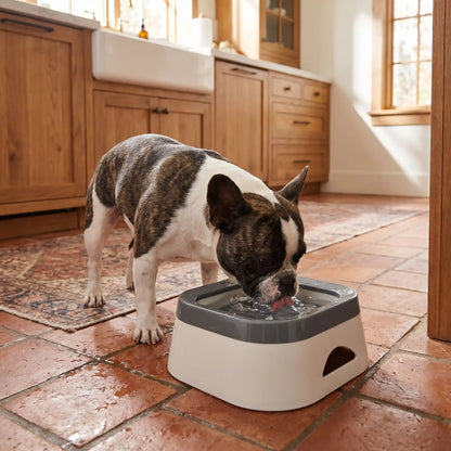 Gamelle-d-eau-pour-chien et chiot anti-éclaboussures et anti bave, en ABS robuste de qualité alimentaire, sans BPA, démontable en 3 parties: contenant carré avec plateau folttant qui distribue l'eau et la garde propre et son socle supérieur qui assure la sécurité de l'ensemble et ses pieds antidérapant, capacité de 1 litre pour chiot et chien de petite à moyenne race-un chien de moyenne race à museau plat qui boit proprement et confortablement dans sa gamelle d'eau anti renversement sur le sol en dalle 