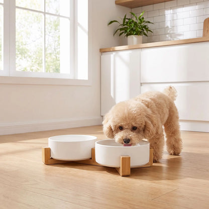 Gamelle-céramique-pour-chien et chiot double-compatible-lave-vaisselle avec son support anti renversement en bambou naturel, 2 gamelles d'une contenance de 350ml chacune soit 700ml au total pour chiot et chien de petite taille de 0 à 6 kilos, disponible en 3 coloris : jaune, vert et blanc, garanti sans produits toxiques ou chimiques et de qualité alimentaire, robuste et design- un chiot de race moyenne qui boit confortablement dans sa gamelle double surélevée par le support en bois sur le sol en parquet 