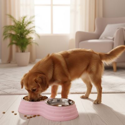 Gamelle-double-pour-chien et chiot amovible en inox , compatible au lave-vaisselle avec support en résine, design en 8 robuste, avec pieds antidérapants,anti-renversement disponible en 3 tailles pour chien de petite à moyenne race 200ml/500ml/700ml par bol et 3 coloris bleu, rose et vert-Un chiot qui mange ses croquettes dans sa gamelle double avec sa gamelle d'eau intégré dans un support en résine rose surélevées et ses pieds antidérapants et anti-rayures sur le sol en parquet du salon
