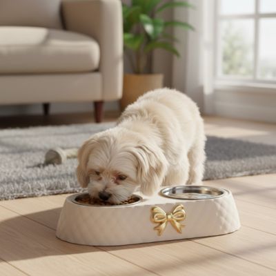 Gamelle-double-pour-chien-petit-avec-support-design noeud doré avec 2 gamelles inox amovibles et lavable en lave-vaisselle, support surélevé en ABS avec pieds antidérapant et anti-renversement, disponible en 3 coloris : marron, vert olive et blanc et chiot de petite race et petite taille avec pour chaque gamelle une contenance 250 ml chacune-un chien de petite taile qui mange confortablement dans sa gamelle double avec croquette et eau dans le support stable anti glissement sur le sol du salon de la maison