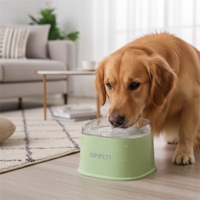 Gamelle-eau-chien-anti-eclaboussure-chiot-anti-bave avec base flottante et rebord surélevé anti projection, en plastique PP robuste de qualité alimentaire sans BPA, lavable en lave-vaisselle, démontable en 3 parties, garde l'eau propre et hygiénique et les babines de chien et les sols de la maison secs, grande capacité de 2 litres en 3 couleurs : blanc, vert et noir-un chien de grande taille qui boit proprement et sans salir le sol en parquet du salon; dans sa gamelle d'eau anti éclaboussure de couleur vert