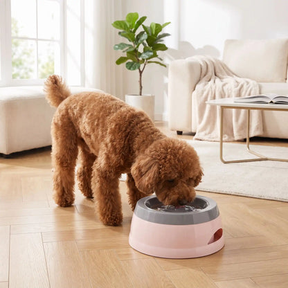 Gamelle-eau-chien et chiot anti-renversement, anti-éclaboussures, ABS sans BPA de qualité alimentaire, stable avec pieds antidérapants, démontable en 3 parties, gamelle, plateau flottant, socle supérieur, lavable au lave-vaisselle avec ses deux poignées de transport d'une contenance de 700 ml pour chien et chiot de petite à moyenne race - un chien de race moyenne qui boit proprement dans sa gamelle anti éclaboussures et anti renversement avec sa plaque flottante qui filtre l'eau sur le sol parquet du salon 