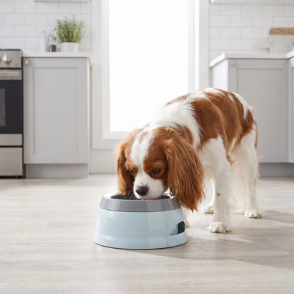 Gamelle-eau-chien et chiot anti-renversement, anti-éclaboussures, ABS sans BPA de qualité alimentaire, stable avec pieds antidérapants, démontable en 3 parties, gamelle, plateau flottant, socle supérieur, lavable au lave-vaisselle avec ses deux poignées de transport d'une contenance de 700 ml pour chien et chiot de petite à moyenne race -un chien de race moyenne qui boit proprement dans sa gamelle anti éclaboussures et anti renversement avec sa plaque flottante qui filtre l'eau sur le lino sec de la cuisine