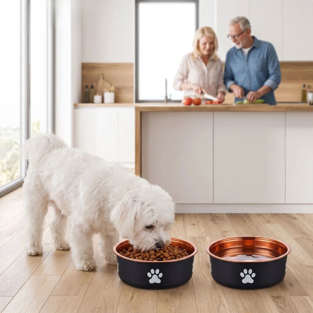 Gamelle-en-inox 304 robuste et indéformable pour chien et chiot design hygiénique, lavable en lave-vaisselle avec son fond antidérapant en silicone pour une stabilité à toute épreuve, anti renversement, anti éclaboussures, design noir avec une patte de chien blanche et intérieur chic de couleur or ou bronze, disponible en 3 tailles 250/500/1000 ml pour toute taille, race de chiot ou chien du petite, moyenne à grande-un petit chien qui mange dans sa gamelle en inox hygiénique sur le sol de la cuisine 