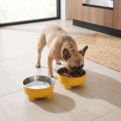 Gamelle-en-inox-pour-chien-petite-taille-surélevée sur pieds antidérapant avec gamelle en inox lavable en lave-vaisselle amovible et son support PP sans BPA avec une capacité de 500 ml pour chiot et chien de petite à moyenne taille, disponible en 4 coloris  jaune, vert, bleu et rouge-un chiot de race moyenne qui boit son eau fraiche et propre dans sa gamelle en inox dans son support design surélevée de couleur jaune sur le sol en parquet du salon de l'appartement