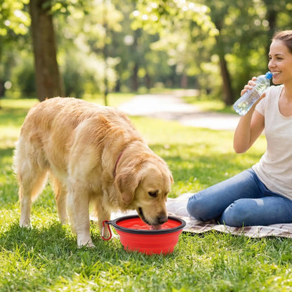 Gamelle-pliable-chien-compacte avec mousqueton, vendues par lot de deux, robuste et solide et lavable en lave-vaisselle, disponible en 3 modèles : 350ml, 1L, 1,5L pour chien de toutes tailles, pour utilisation en voyage, à l'extrieur, en sortie, en promenade pour croquette, nourriture ou eau- ungrand chien qui boit dans la gamelle d'eau à côté de sa maitresse assise sur une nappe qui boit aussi de l'eau dans sa bouteille dans le parc 