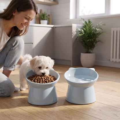 Gamelle-pour-petit-chien-haute-inclinée à 45° pour protéger son cou, vendues par lot-de-2, sur une base large est stable, contenance de 200g/200ml pour chien de petite race et chiot de petite à moyenne race de 3 à 8 kg, gamelle surélevée séparée en ABS sûr de qualité alimentaire sans BPA, ni produits toxiques, avec design oreille, solide et incassable, lavable au lave- vaisselle-un chiot bichon maltais en servrage avec sa gamelle haute bleue remplie de croquette qu'il mange sous le regard de sa maitresse