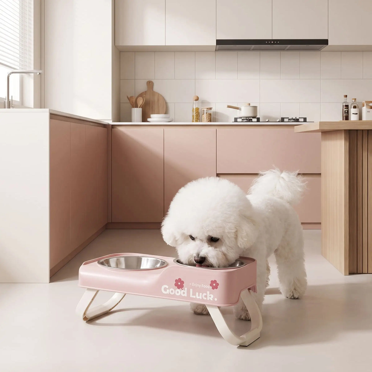 Gamelles-chien-en-hauteur-asymétrique-avec-support et pied surélevé pliable en ABS robuste et gamelle inox de 350/380ml chacune en lot de 2, lavable en lave-vaisselle pour race de chien de petite à moyenne taille, transportable , hygiénique qui s'adapte à la croissance du chiot - un chien de petite taille qui boit confortablement dans sa gamelle d'eau surélevée de 5 cm par rapport à la deuxième gamelle de nourriture plus basse pour un espace d'alimentation propre sur ses deux pieds antidérapants sur le sol