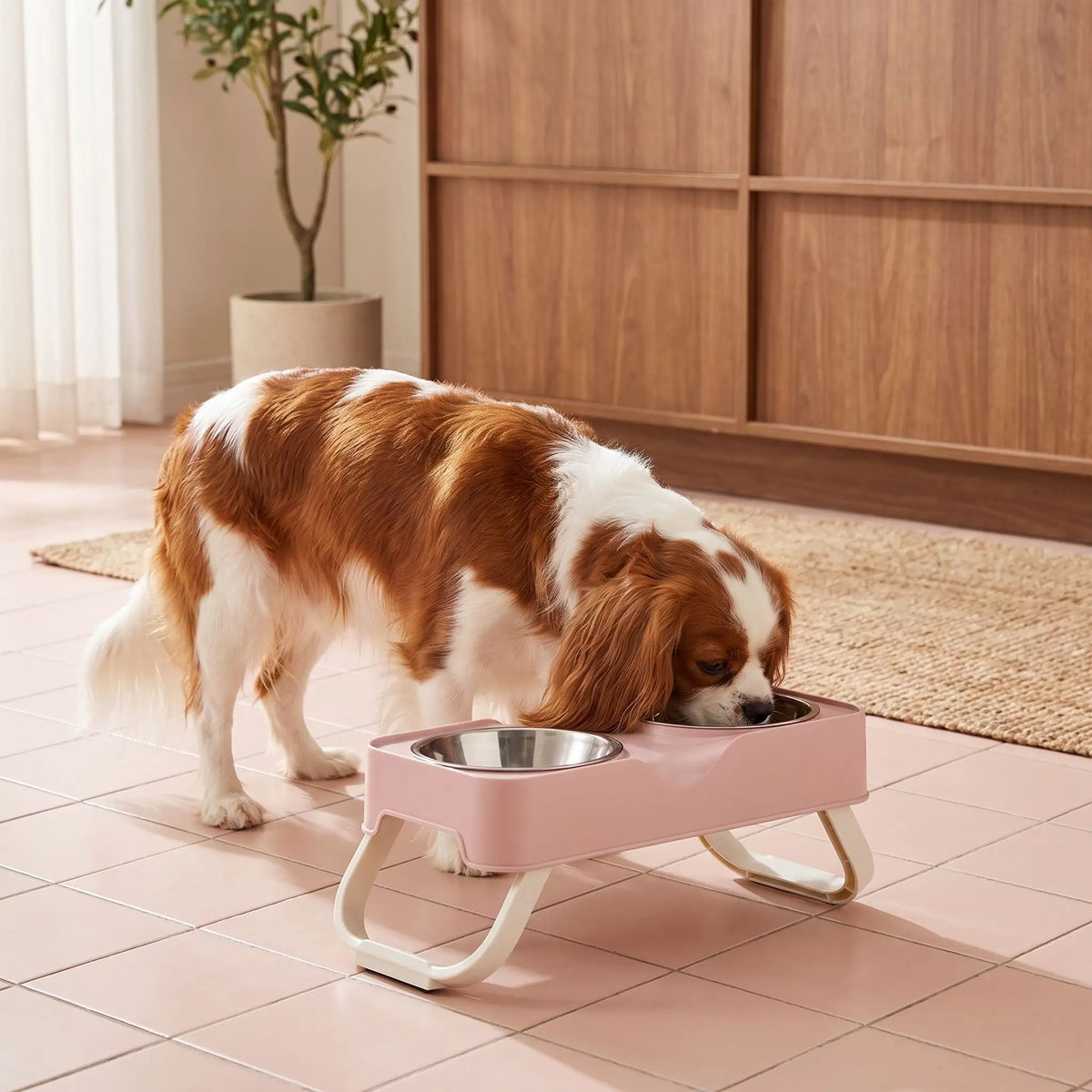 Gamelles-chien-en-hauteur-asymétrique-avec-support et pied surélevé pliable en ABS robuste et gamelle inox de 350/380ml chacune en lot de 2, lavable en lave-vaisselle pour race de chien de petite à moyenne taille, transportable , hygiénique qui s'adapte à la croissance du chiot - un chien de race moyenne qui boit confortablement dans sa gamelle d'eau surélevée de 5 cm par rapport à la deuxième gamelle de nourriture plus basse pour un espace d'alimentation propre sur ses deux pieds antidérapants sur le sol