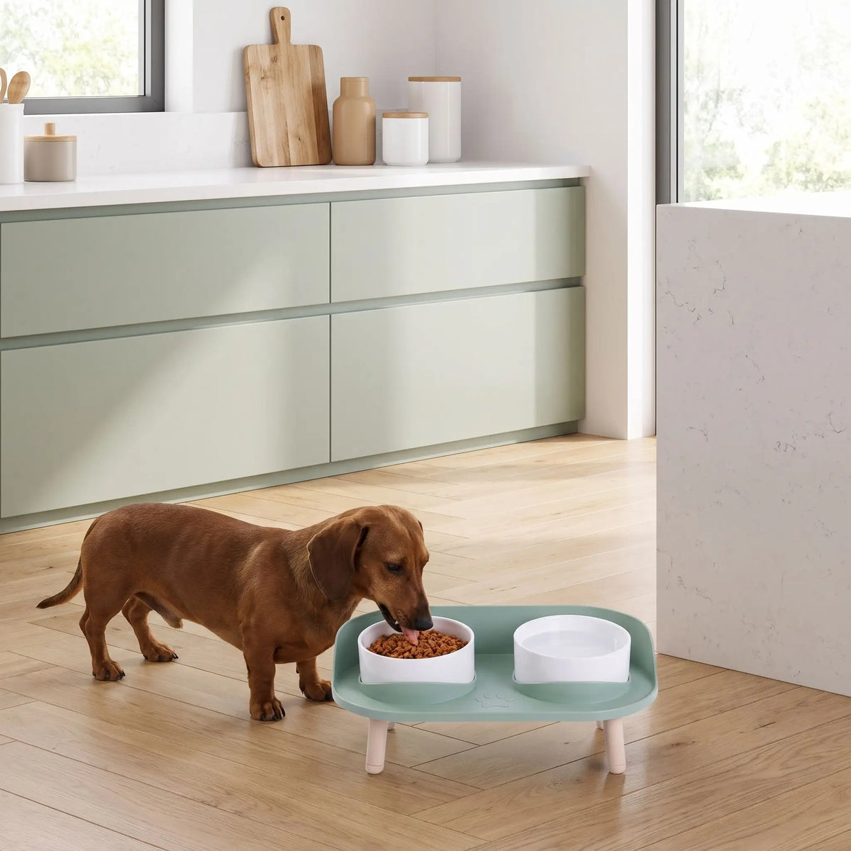 Gamelles-surélevées-pour-chien-ajustable-lavable, avec support large et socle anti-renversement pour les deux gamelles en fibres de bambou de 550 ml chacune lavable en lave vaiseelle, support surélevé sur 4 pieds en ABS durable et solides pour chiot et chien de petite taille et race toy-un Teckel nain qui mange confortablement dans sa gamelle clipsée dans son support antireversement  et sa surface qui permet de garder les sols propre de couleur vert clair design avec ses 4 pieds imitation bois 