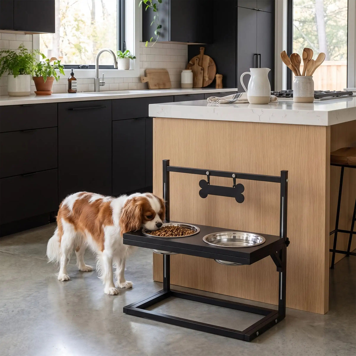 Gamelles-surélevées-pour-chien-chiot-design en acier noir robuste et épurés avec 2 gamelles inox encastrable dans le support réglable sur 3 hauteurs pour chiot et chien de taille moyenne taille de 25 cm à 60 cm au garrot, idéal pour suivre la croissance des chiots, Gamelle d'une capacité de 900 ml chacune compatible au lave-vaisselle,  soulage l'arthrose et les douleurs,traite le mégaœsophage,réduit les régurgitations-un chien qui mange et boit confortablement sans mouiller ses oreilles dans les gamelles