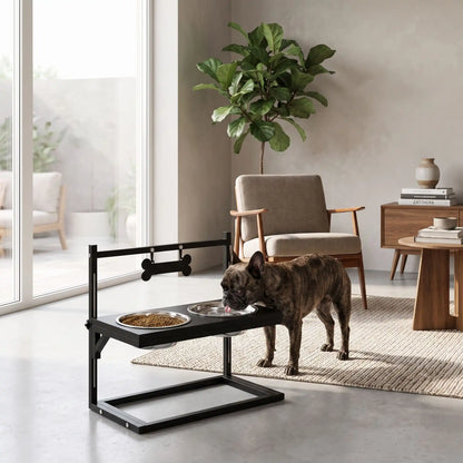 Gamelles-surélevées-pour-chien-chiot-design en acier noir robuste et épurés avec 2 gamelles inox encastrable dans le support réglable sur 3 hauteurs pour chiot et chien de taille moyenne taille de 25 cm à 60 cm au garrot, idéal pour suivre la croissance des chiots, Gamelle d'une capacité de 900 ml chacune compatible au lave-vaisselle,  soulage l'arthrose et les douleurs,traite le mégaœsophage,réduit les régurgitations-un chien moyen qui mange confortablement dans les gamelles surélevées avec support design 