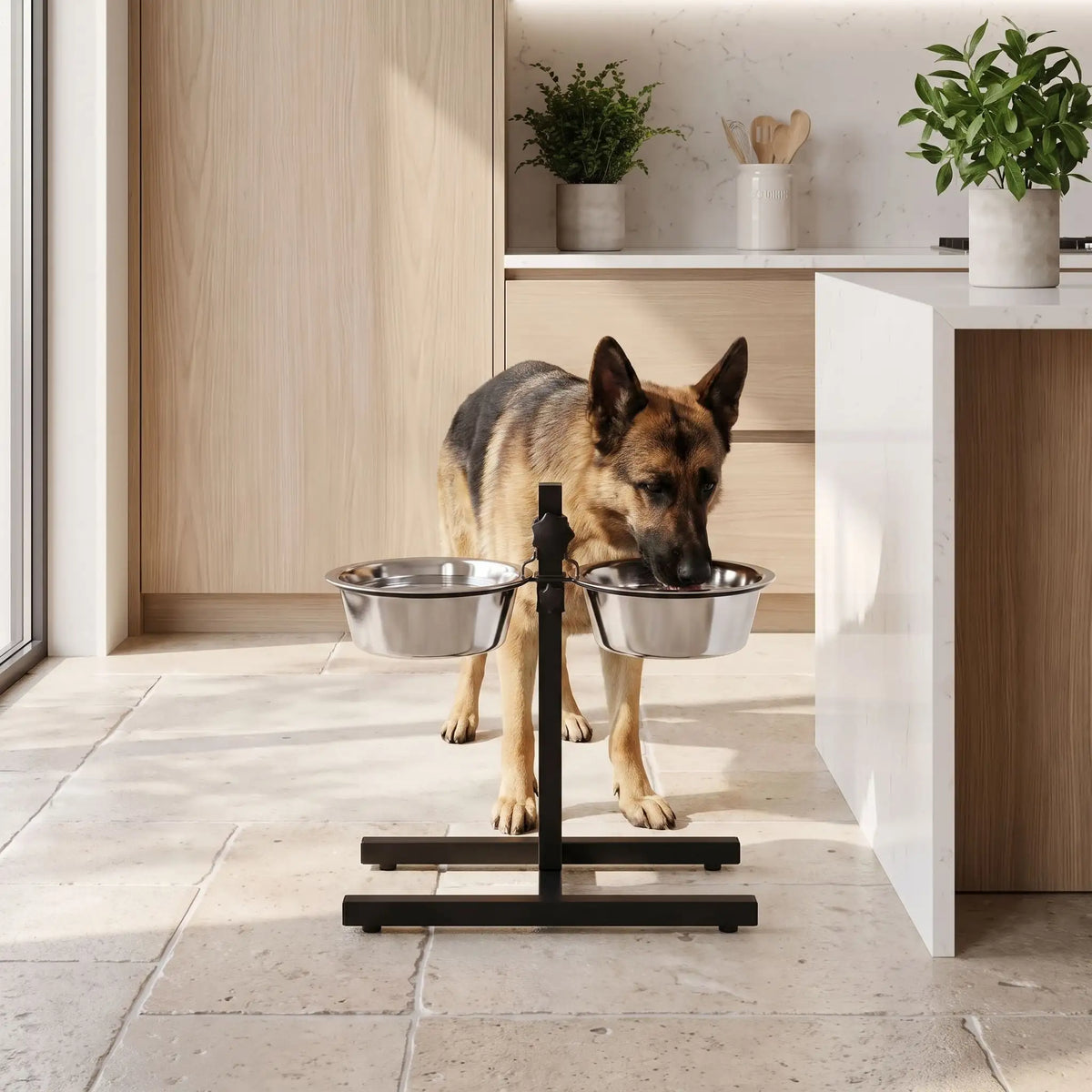 Gamelles-surélevées-pour-chiens-chiots-support en fer réglable en hauteur grâce à sa molette facile et ses 2 gamelles inoxydables lavable en lave-vaisselle avec ses 4 pieds et ses deux arceaux pour mettre les gamelles et assurent zéro bruit et zéro glissement pour chiot et chien de petite à grande taille de 40 à 5 cm au garrot-un chiien de grande taille qui mange conofrtablement grâce au support surélevé pour ses deux gamelles en inox hygiéniques dans la cuisine de la maison