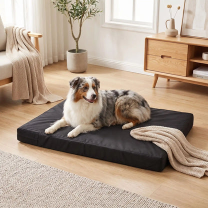 Housse-coussin-chien-100% imperméable-5-tailles S, M, L, XL et XXL-lavable en machine- anti-poils-antistatique-antibactérien-protection ultra-résistante en tissu Oxford 250 D résistant aux griffes et morsures de couleur noir-protection de couchage, coussin, lit, matelas, panier de forme rectangulaire-un chien de race moyenne à grande et à poils longs couché confortablement sur la housse douce et hypoallergénique et hygiénique xl qui protège son matelas sur le sol du salon de la maison