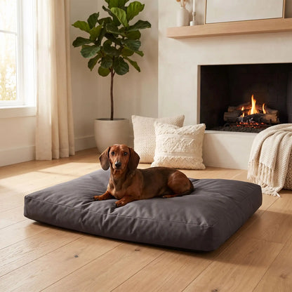 Housse-coussin-chien-100% imperméable-5-tailles S, M, L, XL et XXL-lavable en machine- anti-poils-antistatique-antibactérien-protection ultra-résistante en tissu Oxford 250 D résistant aux griffes et morsures de couleur marron-protection de couchage, coussin, lit, matelas, panier de forme rectangulaire-un chien de race moyenne couché confortablement sur la housse douce et hypoallergénique et hygiénique xl qui protège son matelas sur le sol du salon de la maison