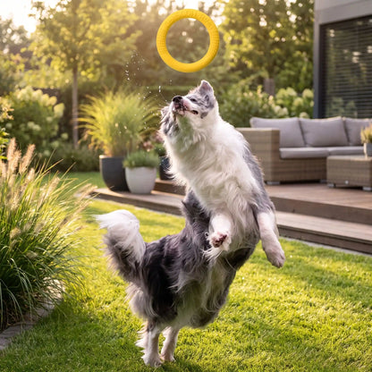 Jouet-pour-chien-interactif en forme d'anneau, en mousse EVA résistante et sans danger, flottant, imperméable, rebondissant, idéal pour les jeu de tug ou tire-tire,jouet d'entrainement et de fitness pour chiot et chien de toutes races disponible en 3 coloris et deux diamètres pour petit, moyen et grand chien-gros plan sur un chien de taille moyenne qui s'élance pour attraper l'anneau doux, souple et solide de couleur jaune en plein envol sur la pelouse du jardin de la maison