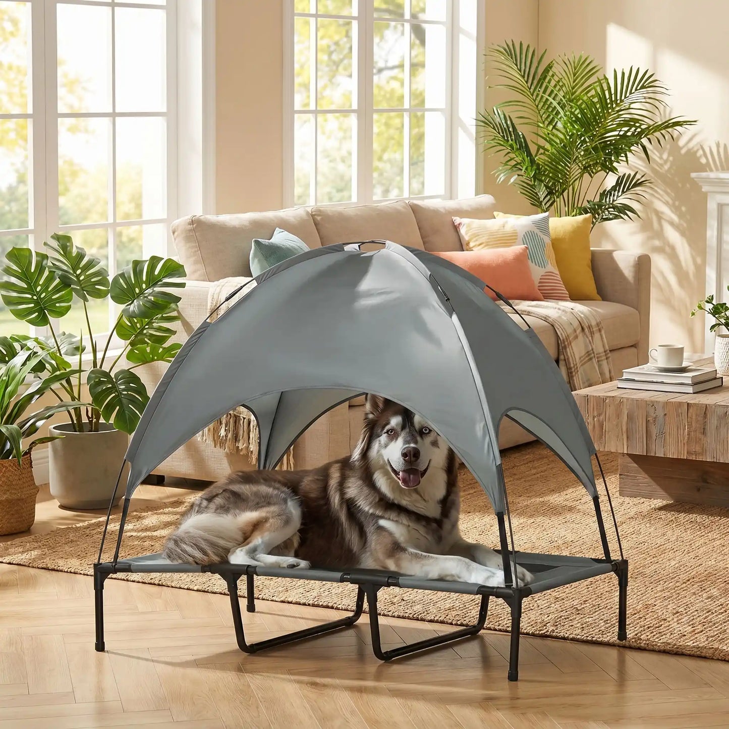 Lit-camp-chien-auvent-120-cm, en tissu oxford 100% imperméable et maille respirante et structure en acier inoxydable, avec son dôme parasol amovible anti uv et anti pluie, polyvalent pour une utilisation interieur et exterieur, surélevé avec 4 pieds et deux barres transversales au milieu et patin anti rayure pour une stabilité pour chiot et chien de petite à moyenne taille jusqu'à 30 kilos-un chien de race moyenne couché au frais sur son lit de camp avec auvent à l'ombre du soleil dans le salon  en été