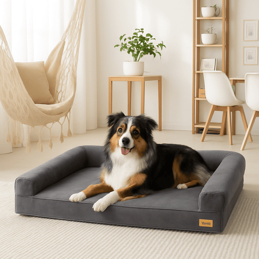 Lit-canapé-pour-chien-déhoussable-antidérapant avec matelas à mémoire de forme imperméable et lavable en machine pour chien moyen à grand-un berger couché sur le lit orthopédique avec rebord 100% coton sécurisant dans sa maison