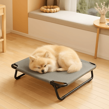 Lit-de-camp-chien-hamac-surélevé avec pied pliable-résistant au griffes-respirant-aérer pour toute saison en maille oxford 100% imperméable qui ne retient pas les poils et les saletés-hygiénique-entretien facile-lavable-pieds antidérapants et anti-rayures-polyvalent pour une utilisation intérieur et extérieur-idéal pour les voyages-solide et durable avec pieds en acier inoxydable-un chien moyen à poils dense qui dort en boule sur son lit surélevé gris dans le salon de la maison