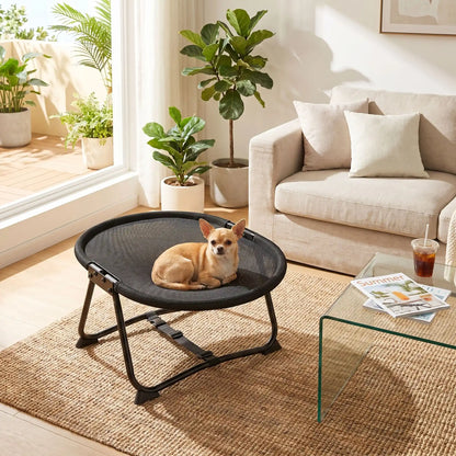 Lit-de-camp-chien-chaise, hamac d'été en maille repirante solide pour une circulation d'air optimale, imperméable, lavable, avec sa structure en acier inoxydable avec sangles de sécurité réglable et pliable, compacte pour chiot et chien de petite taille de 0 à 6 kilos maximum de couelur noir, léger et transportable-un chihuahua confortablement couché sur son petit lit hamac noir de forme ovale dans le salon de l'appartement en été