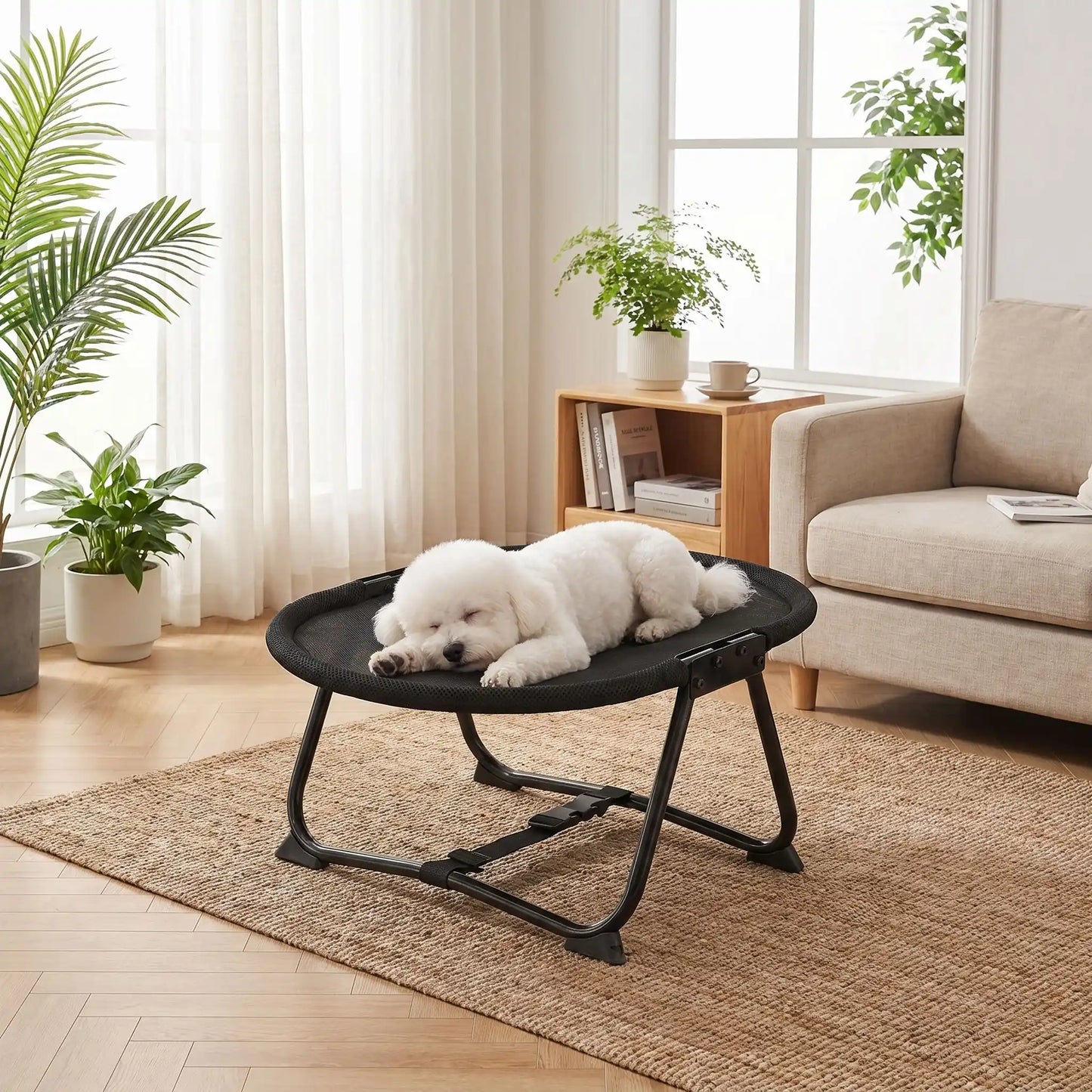 Lit-de-camp-chien-chaise, hamac d'été en maille repirante solide pour une circulation d'air optimale, imperméable, lavable, avec sa structure en acier inoxydable avec sangles de sécurité réglable et pliable, compacte pour chiot et chien de petite taille de 0 à 6 kilos maximum de couleur noir, léger et transportable-un petit chien à poils épais qui dort sur le ventre sur le hamac ovale avec sa structure solide et pliable pour chiot et chien de petite taille dans le salon de l'appartement en été