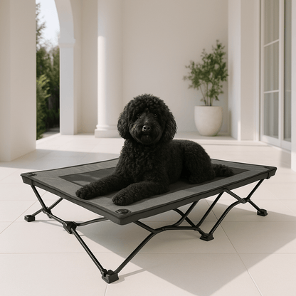 Lit-de-camp-pour-chiens-acier-maille-aérée-tissu oxford 900D et structure en acier robuste-hamac sur 6 pieds antidérapants pour chien de petite, moyenne et grande taille jusqu'à 30 kg-lavable et imperméable-ne retient pas les poils, les saletés, résistant aux griffes pour une utilisation intérieure et extérieure-pliable avec son sac de transport avec sangle-un chien noir frisé couché confortablement sur son hamac ergonomique surélevé sur la terrasse le la maison de vacances en été